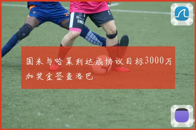 国米与哈莱利达成协议目标3000万加奖金签查洛巴