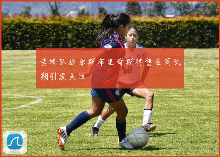 黄蜂队迈尔斯布里奇斯待售合同到期引发关注