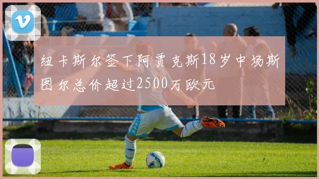 纽卡斯尔签下阿贾克斯18岁中场斯图尔总价超过2500万欧元